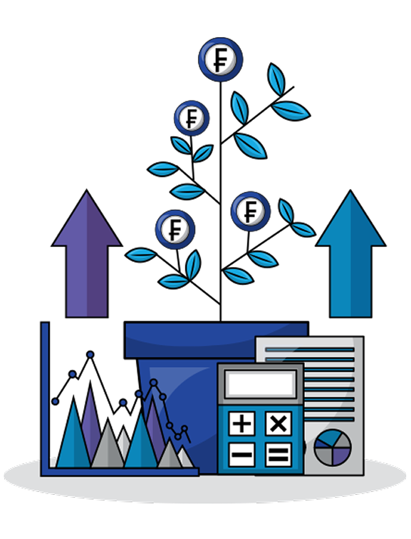 IPO & Capital Markets